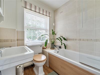 Picture 16